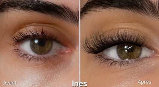 INES - Colle intensité noire (modèle moyennement chargé)